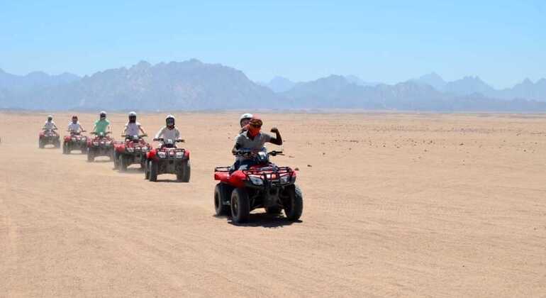 Agadir: ATV Quad Biking and Goats On Argan Trees Morocco — #4