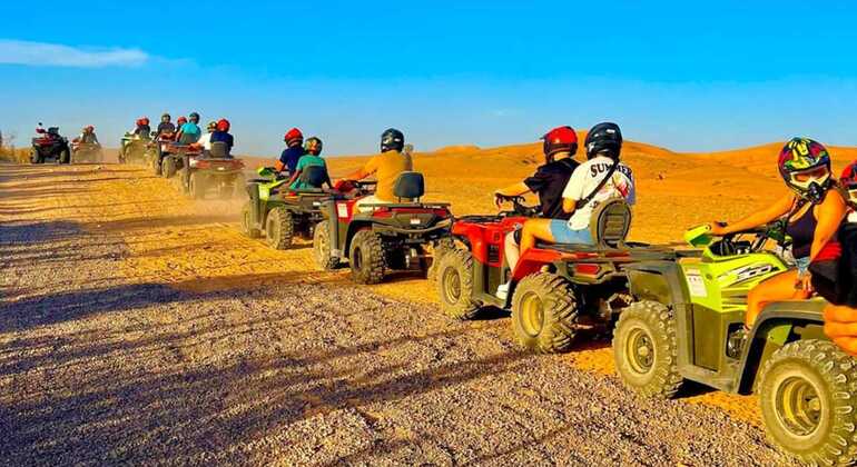 Agadir: ATV Quad Biking and Goats On Argan Trees Morocco — #5