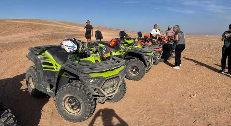 Agadir: ATV Quad Biking and Goats On Argan Trees Morocco — #6