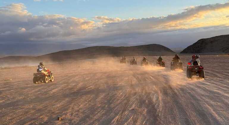 Agadir: ATV Quad Biking and Goats On Argan Trees Morocco — #7