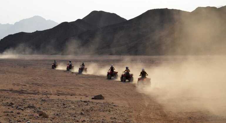 Agadir: ATV Quad Biking and Goats On Argan Trees Morocco — #8
