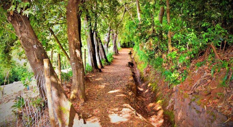 Agadir et Taghazout : Escapade dans la vallée du Paradis Maroc — #7