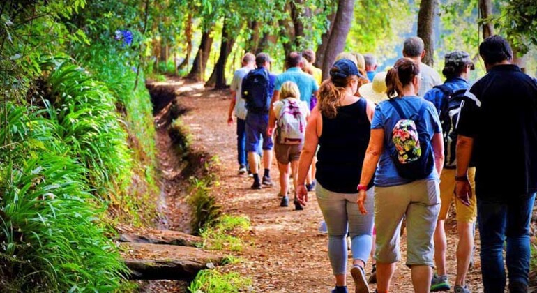 Agadir et Taghazout : Escapade dans la vallée du Paradis Maroc — #8