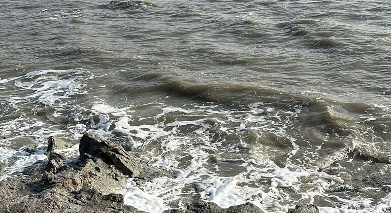 Amman: Petra, Wadi Rum, and Dead Sea Tour Jordan — #4