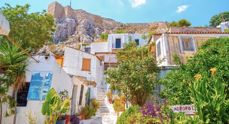 Atene passeggia e sorride: Passeggiata in città con un compagno peloso Fornito da Alexia