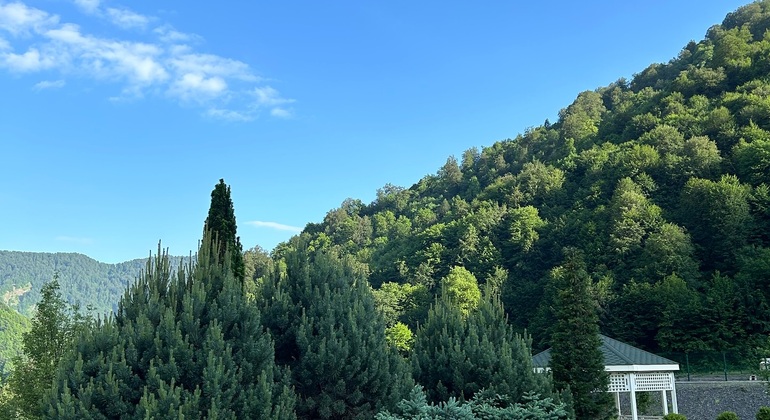 De Baku a Gabala: Excursão às montanhas, lagos e cascatas Azerbaijão — #4