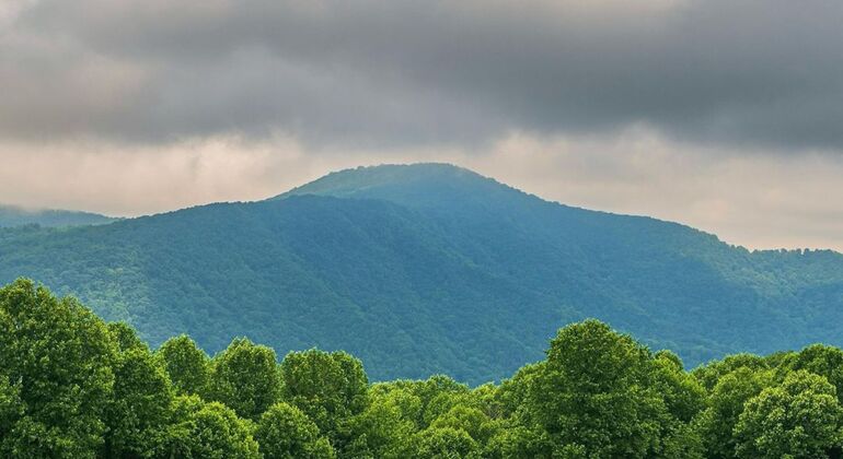 De Baku a Gabala: Excursão às montanhas, lagos e cascatas Azerbaijão — #13