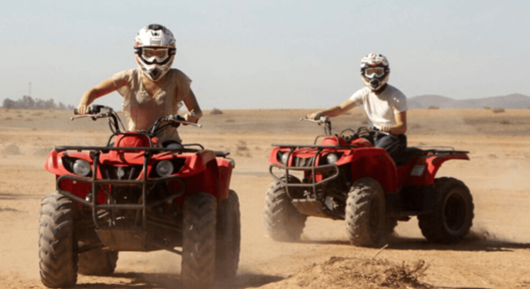 Agadir Quad Biking & Crocoparc Experience Morocco — #3