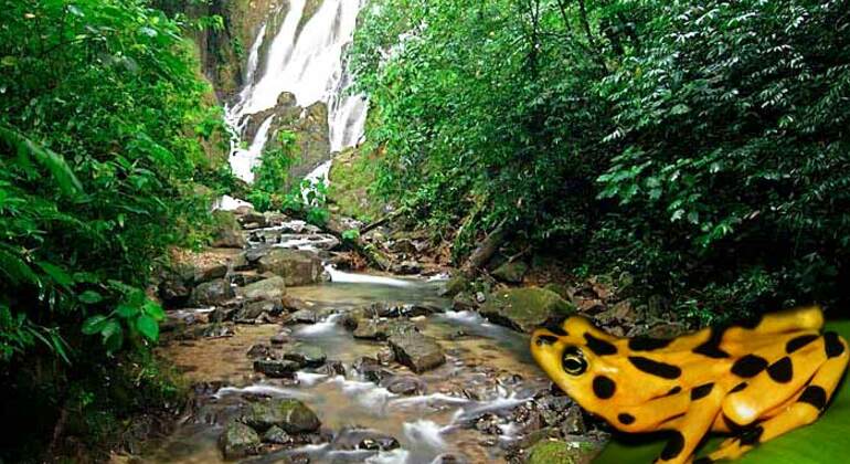 Tagestour: Tal, Thermalbäder und Wasserfälle, Panama