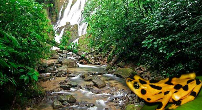 Excursion d'une journée : Vallée, eaux thermales et chutes d'eau, Panama