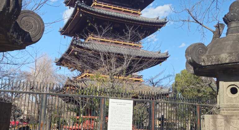 Tour por Ueno y Ameyayokocho Japón &mdash; #5