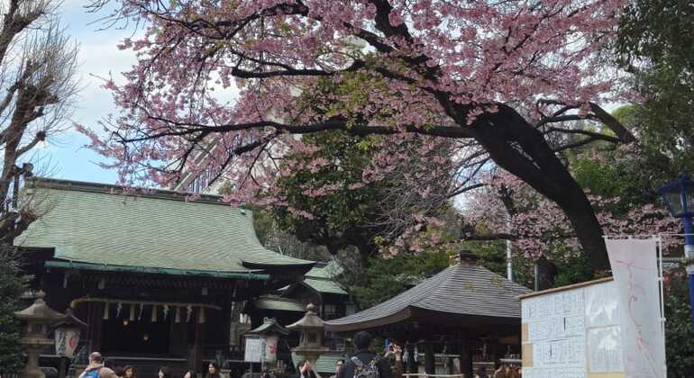 Tour por Ueno y Ameyayokocho Japón &mdash; #6