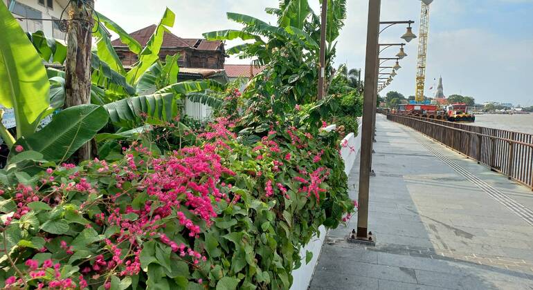 Tour originale di Bangkok: Fiume e cibo di Thonburi Tailandia &mdash; #28