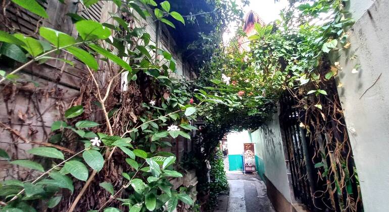 Tour originale di Bangkok: Fiume e cibo di Thonburi Tailandia &mdash; #35