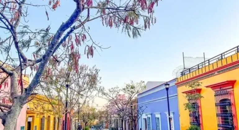 descubre-la-hermosa-ciudad-de-oaxaca-con-una-vision-local-en-6