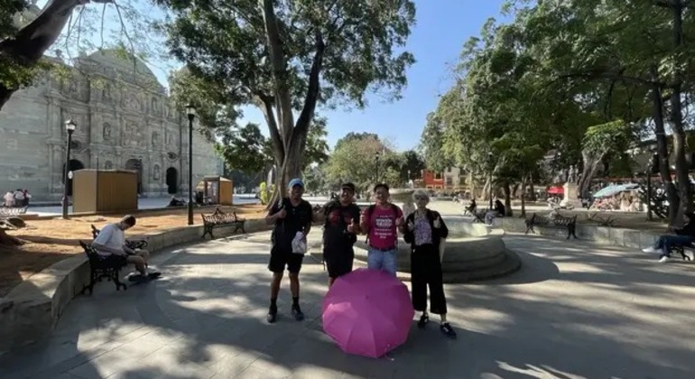 descubre-la-hermosa-ciudad-de-oaxaca-con-una-vision-local-en-7