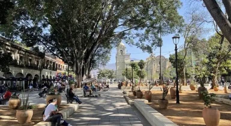 descubre-la-hermosa-ciudad-de-oaxaca-con-una-vision-local-en-5