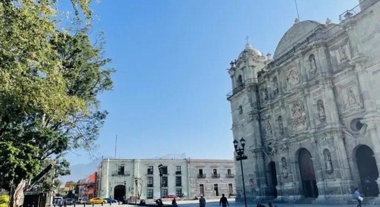 descubre-la-hermosa-ciudad-de-oaxaca-con-una-vision-local-en-3