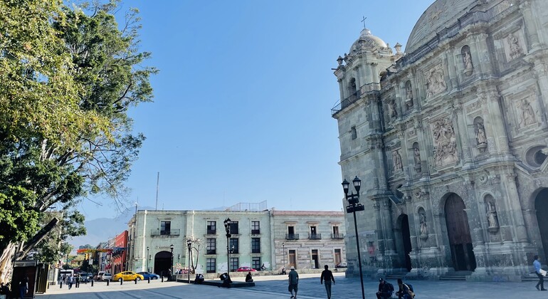 Discover the Beautiful City of Oaxaca with a Local Vision Mexico &mdash; #4