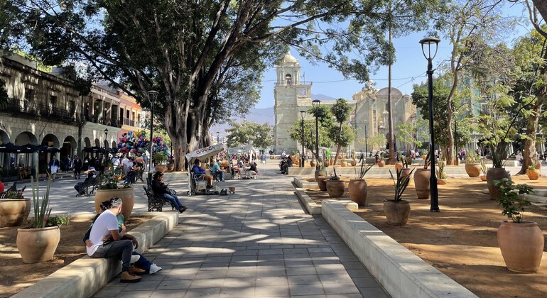 Discover the Beautiful City of Oaxaca with a Local Vision Mexico &mdash; #6
