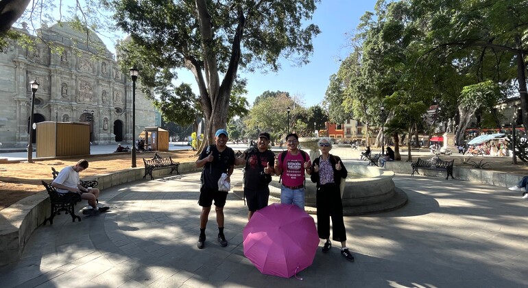 Discover the Beautiful City of Oaxaca with a Local Vision Mexico &mdash; #7