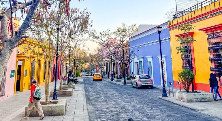 Discover the Beautiful City of Oaxaca with a Local Vision Mexico &mdash; #8