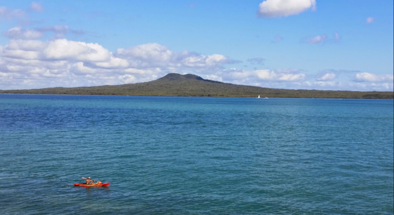 Rangitoto Volcanic Island Tour in Auckland Provided by Mathieu