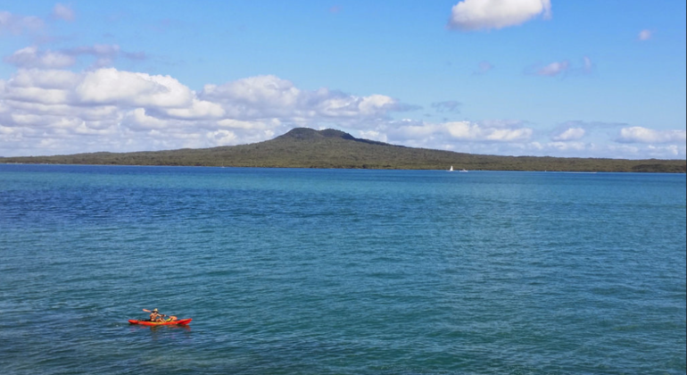 Visite de l'île volcanique de Rangitoto à Auckland, New Zealand