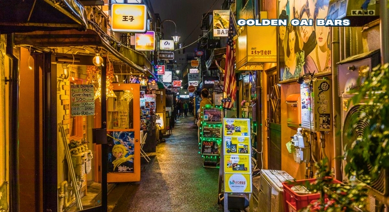 Shinjuku Night Walking Tour: The Dark Side of Tokyo Japan &mdash; #7
