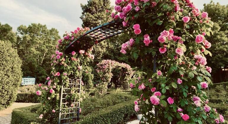 Discover Sofia: History, Culture & Charm Bulgaria — #6