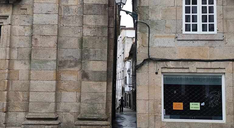 visita-guiada-por-las-joyas-ocultas-de-santiago-es-17