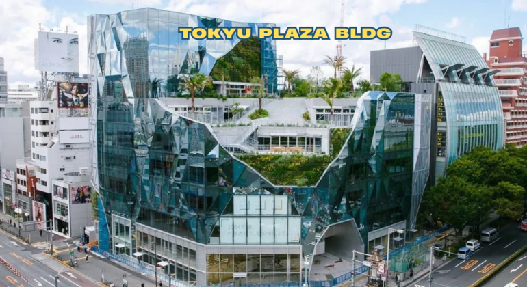 Shibuya & Harajuku Free Tour Japan — #5