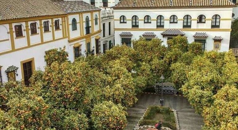 Free Tour Sevilla & Santa Cruz Quarters Spain &mdash; #9