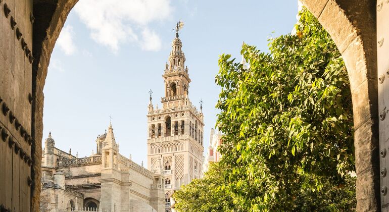 Free Tour Sevilla & Santa Cruz Quarters Spain &mdash; #14