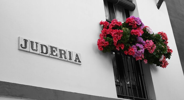 Free Tour Sevilla & Santa Cruz Quarters Spain &mdash; #19