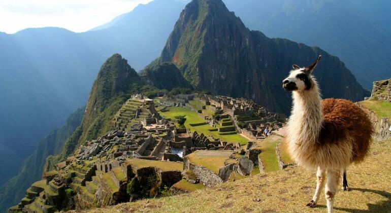 Machu Picchu Tour Peru — #1