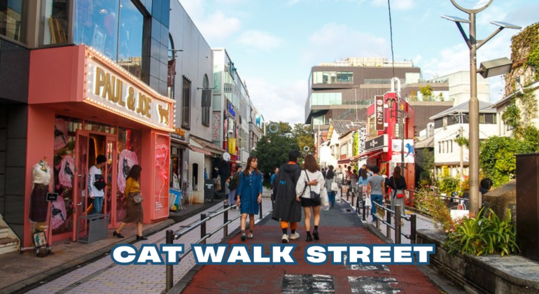 Tour gratuito por Shibuya y Harajuku: Joyas ocultas 