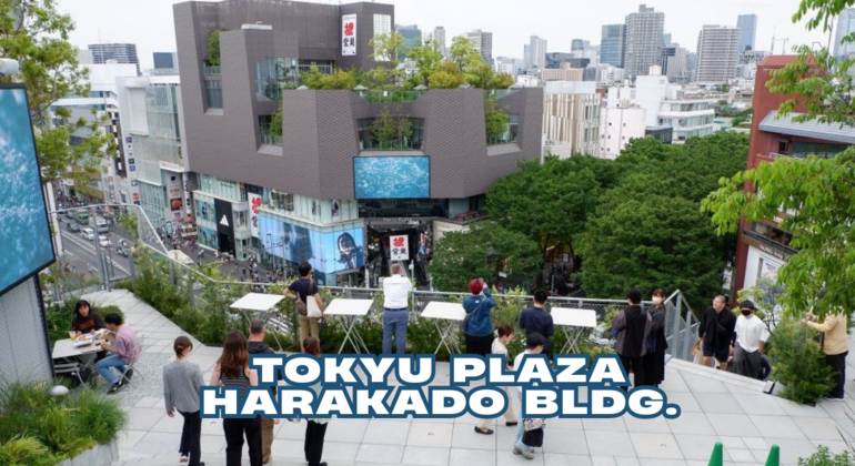 Shibuya & Harajuku Free Tour: Hidden Gems Japan — #6