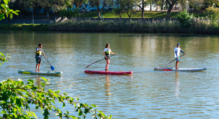 Tour Privado de Paddle Surf em Sevilha Espanha — #7