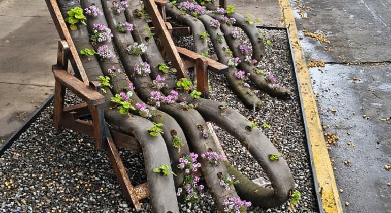 Roots and Routes: Yungay, Memory, Art and Neighborhood Chile — #37