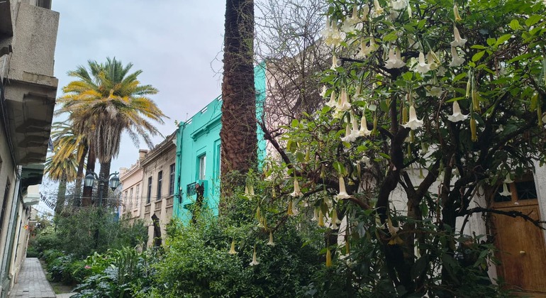 Roots and Routes: Yungay, Memory, Art and Neighborhood Chile — #39