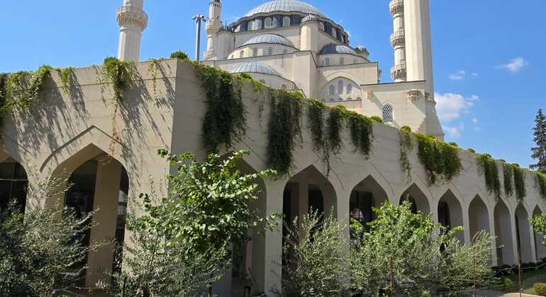 Tirana Bike Tour: Descubra la Capital Sobre dos Ruedas Albania — #10