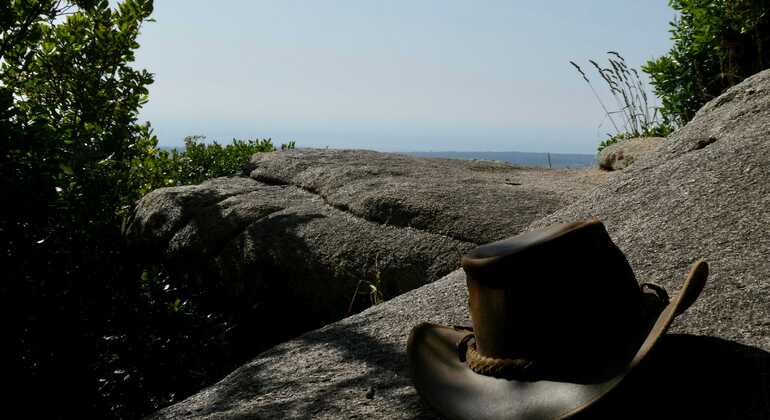 Explore Sintra on Foot – Free Tour