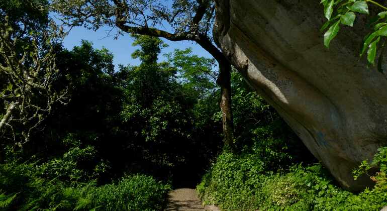 explore-sintra-on-foot-free-tour-en-6