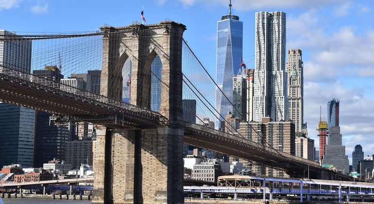 tour-of-the-highlights-of-new-york-city-es-1