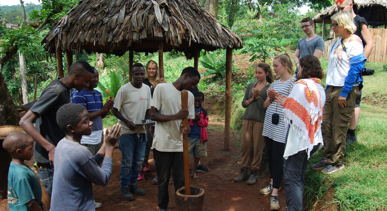 Arusha Escape: Materuni Waterfall & Coffee Tour