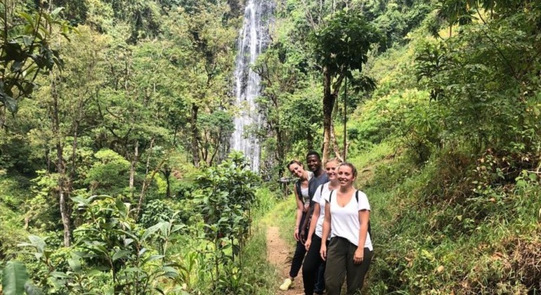 Fuga de Arusha: Cachoeira de Materuni e excursão ao café Tanzânia &mdash; #2