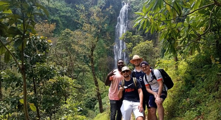 Fuga de Arusha: Cachoeira de Materuni e excursão ao café Tanzânia &mdash; #3