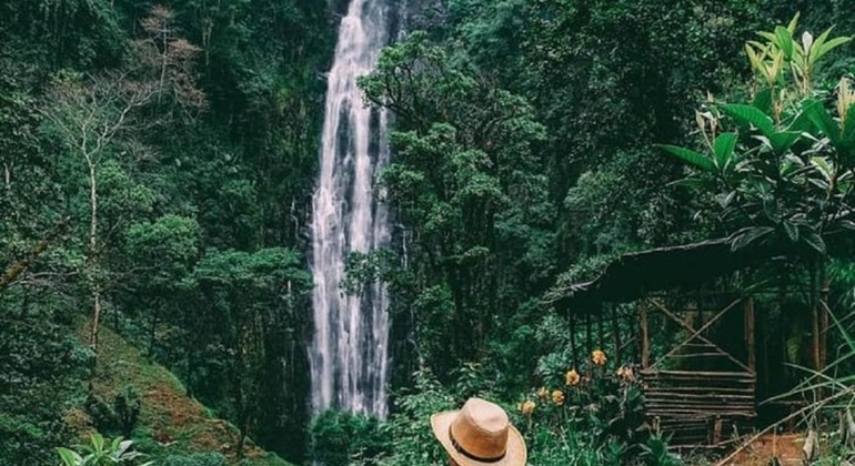 Fuga de Arusha: Cachoeira de Materuni e excursão ao café Tanzânia &mdash; #7