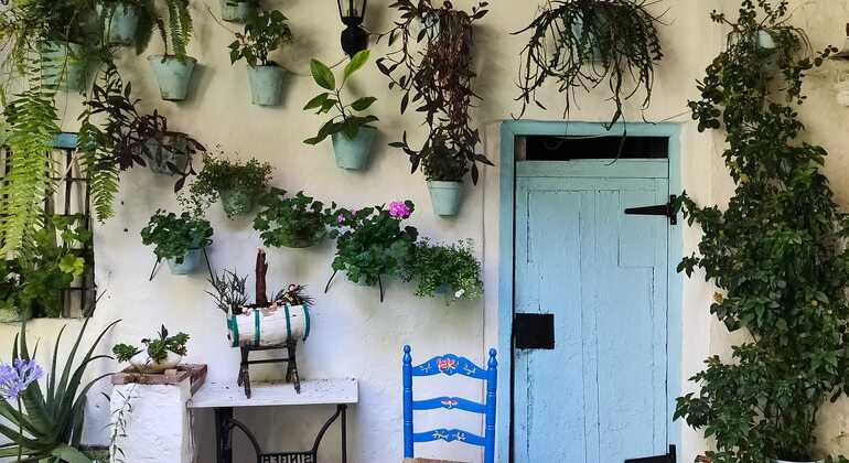 Free Tour Patios of Cordoba Spain &mdash; #2